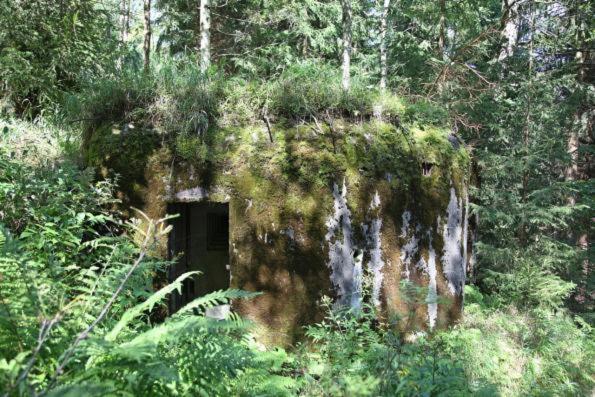 Sedmikraska Villa Horní Maršov Exteriör bild